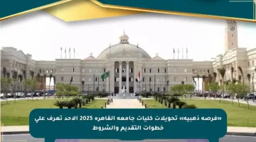 «فرصة ذهبية» تحويلات كليات جامعة القاهرة 2025 الأحد تعرف على خطوات التقديم والشروط